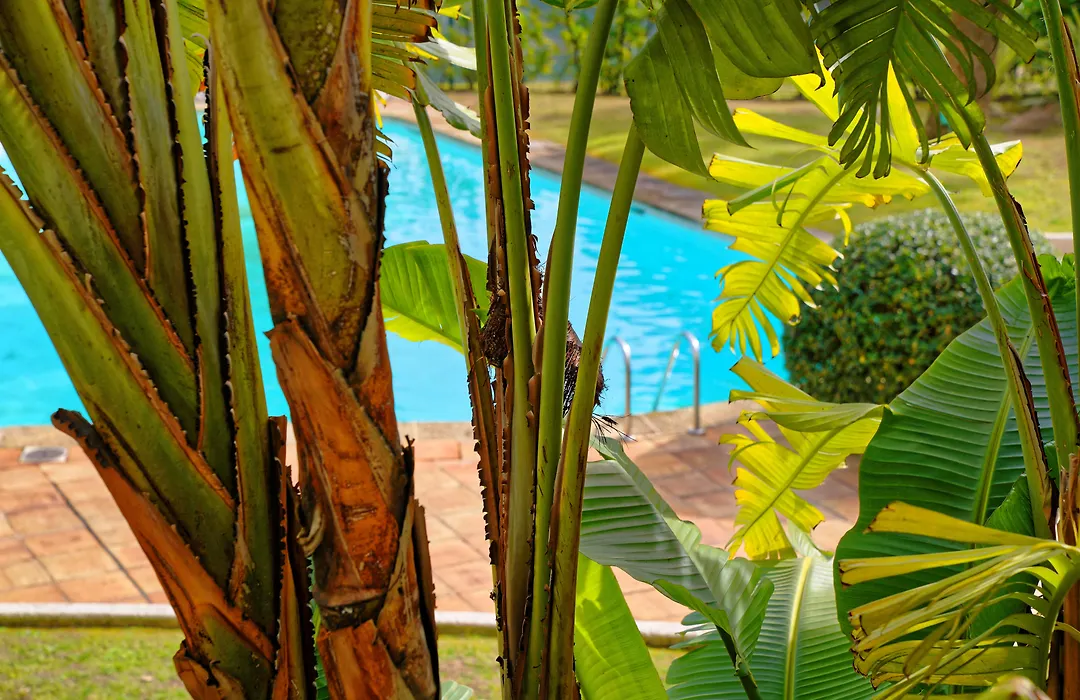 Radisson Hotel Cannes Seaside-1